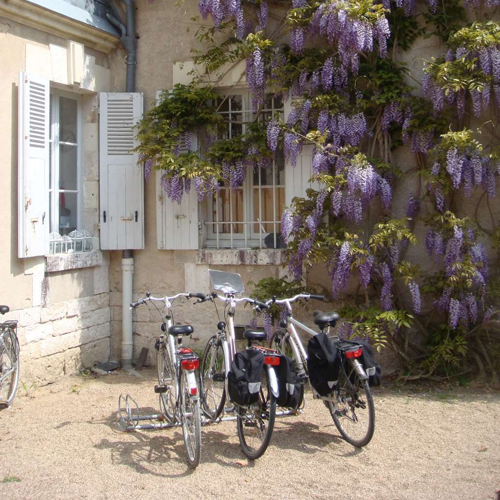 Chateau Du Breuil Шеверни Екстериор снимка
