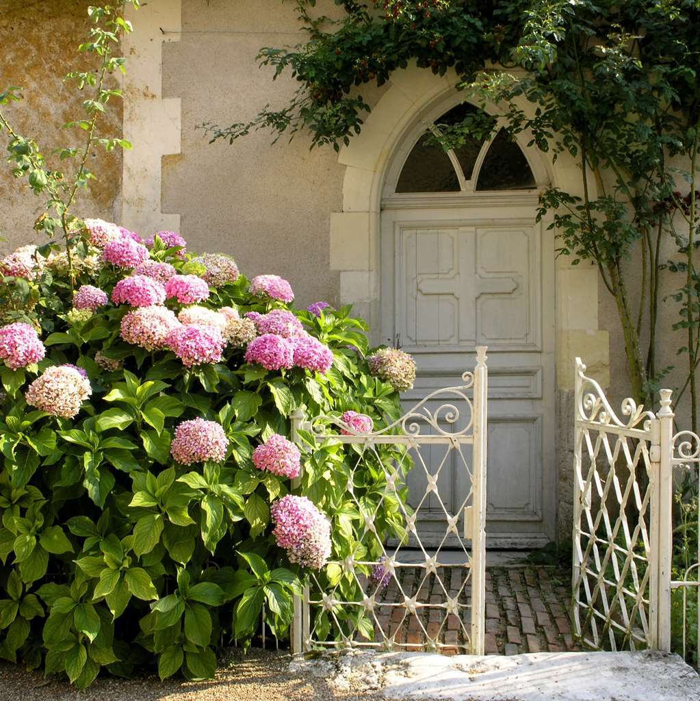 Chateau Du Breuil Шеверни Екстериор снимка